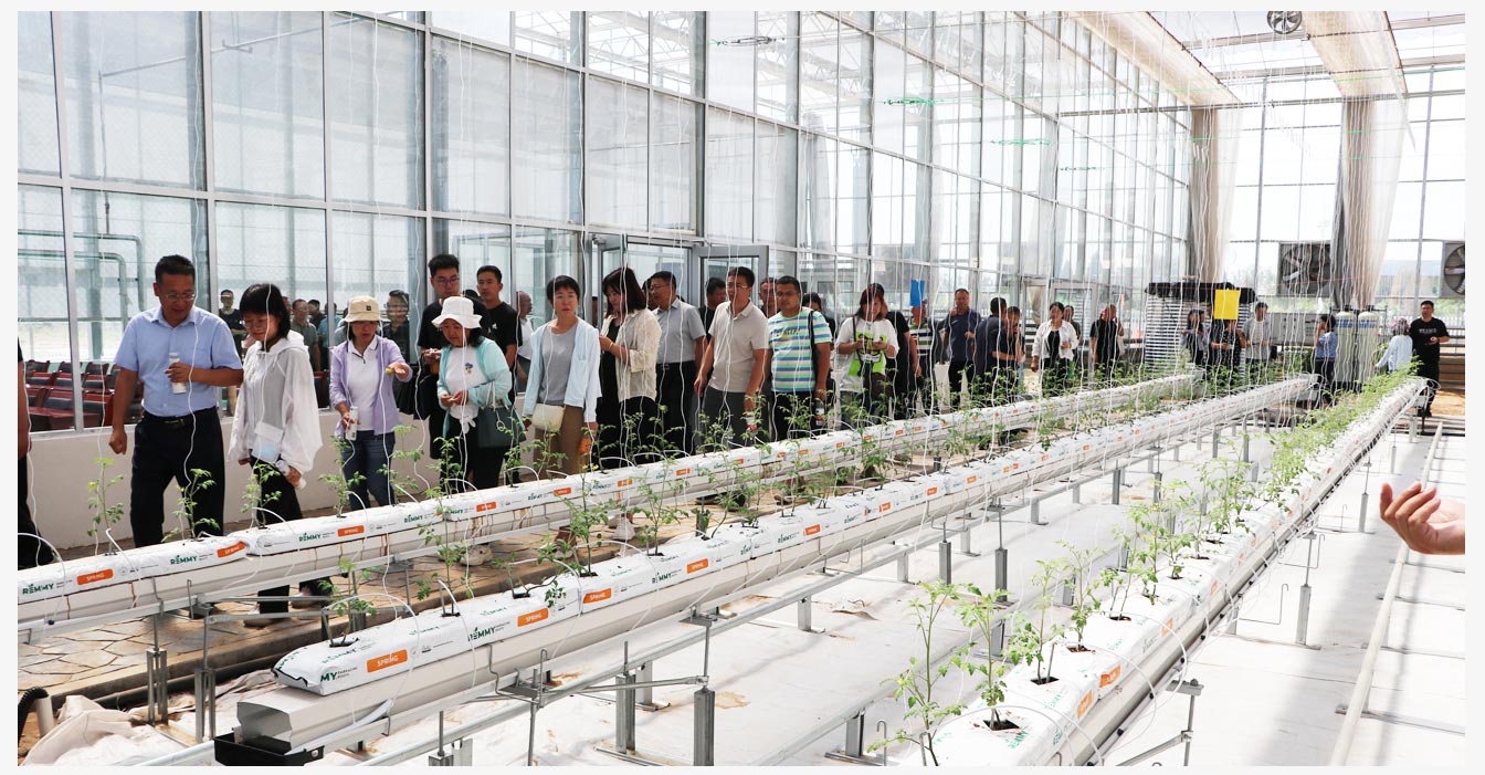 準(zhǔn)格爾旗現(xiàn)代智慧設(shè)施農(nóng)業(yè)產(chǎn)業(yè)園_10.jpg 準(zhǔn)格爾旗現(xiàn)代智慧設(shè)施農(nóng)業(yè)產(chǎn)業(yè)園_10.jpg